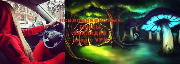 сатива Бородино