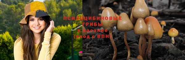 хмурый Бронницы