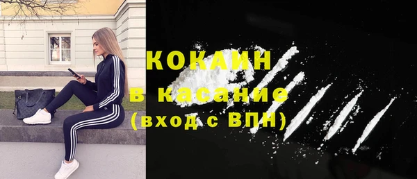 сатива Бородино