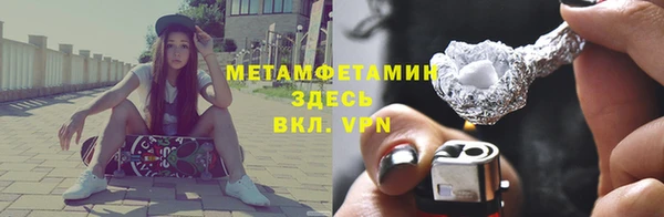 сатива Бородино