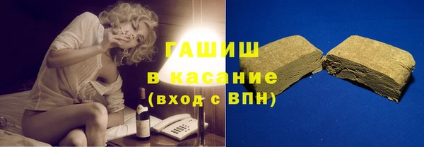 сатива Бородино