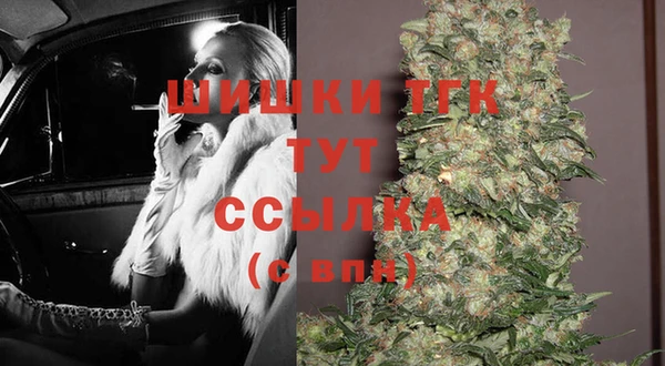 хмурый Бронницы