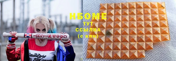 сатива Бородино