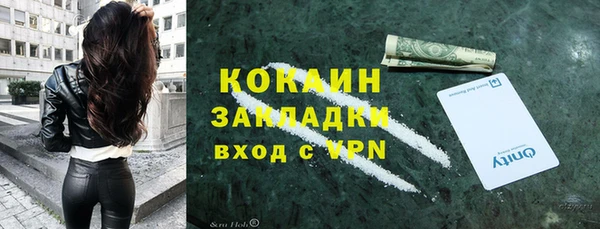 сатива Бородино