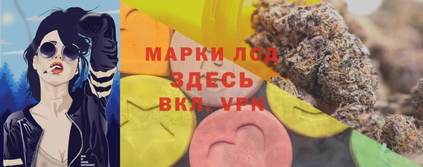 сатива Бородино
