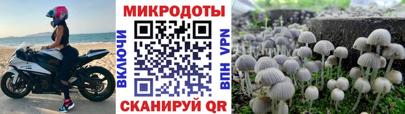 Галлюциногенные грибы прущие грибы Кораблино